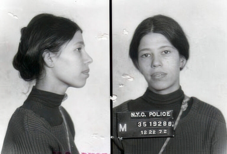 Susan Schnall – NYPD Mugshot